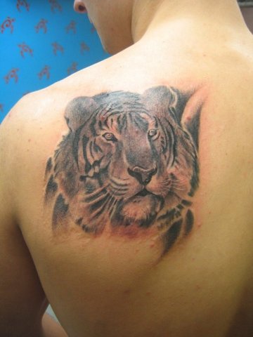 Фото и  значения татуировки Тигр. X_8c141f0c